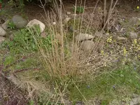27.04.2010 005.webp
