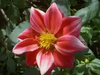 April 2010 923v.webp