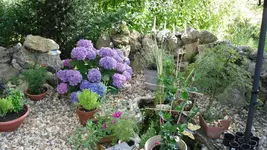 garten 2009 001.webp