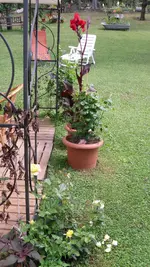 garten 2009 066.webp