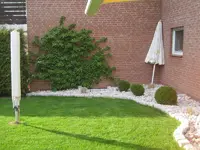 011.webp