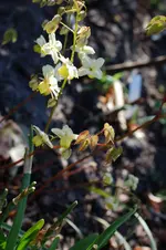 DSC_5086.webp