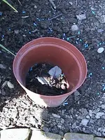 Gartentopf.webp
