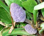 DSC02065--.webp