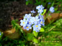 SDC11132.webp