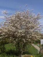 HPIM4259.webp