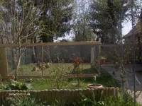 HPIM4260.webp