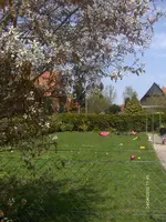 HPIM4262.webp
