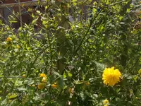 HPIM4321.webp