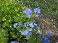HPIM4323.webp
