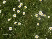HPIM4325.webp