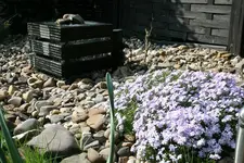 Bild 199.webp