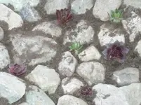 Hochterasse und Beet am Hang 016.webp