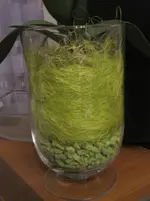 Glas.webp