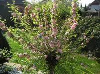 IMG_4717.webp