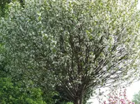 DSCF8284 (3).webp