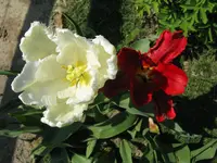 IMG_4164_1024x768.webp