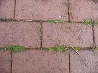 P1040238.webp