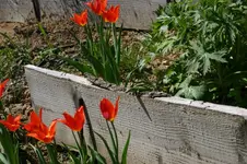 IMG_7964_1_1.webp