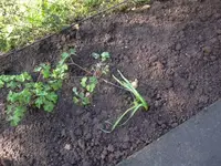 28.04.2010 002.webp