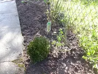 28.04.2010 004.webp