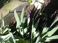 28.04.2010 010.webp