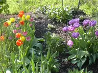 28.04.2010 021.webp