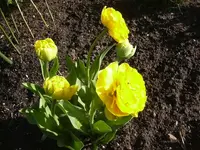 28.04.2010 024.webp