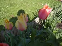 28.04.2010 032.webp