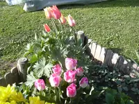 28.04.2010 034.webp