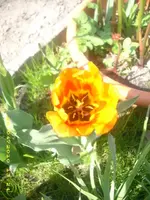 21858.webp