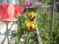JD800002.webp