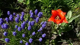 K800_28.4 080.webp