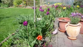 K800_An der Terrasse.webp