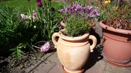 K800_An der Terrasse (2).webp