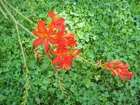 100_2184_600_450.webp