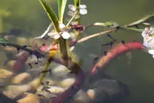 IMG_0011.webp IMG_0011.webp