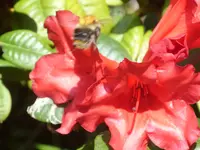 Fotos 005.webp