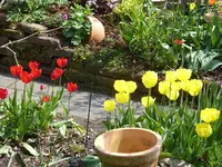 Fotos 008.webp