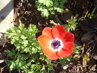 Fotos 010.webp