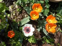 Fotos 004.webp