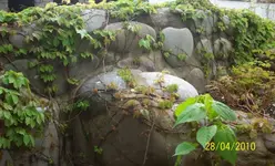 Bild 009a.webp