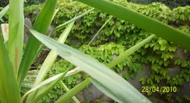 Bild 008a.webp