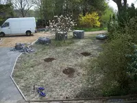 Garten 001.webp