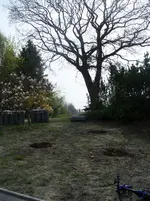 Garten 010.webp