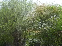 Blick aus Wohnzimmerfenster.webp