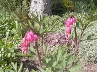 29-04-2010 005.webp