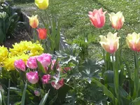 29-04-2010 007.webp
