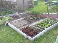 29-04-2010 022.webp