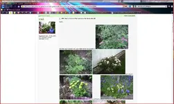 Tina.webp